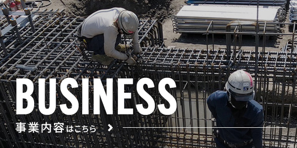bnrhalf_business_off